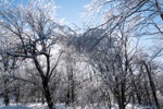 Heavy Ice